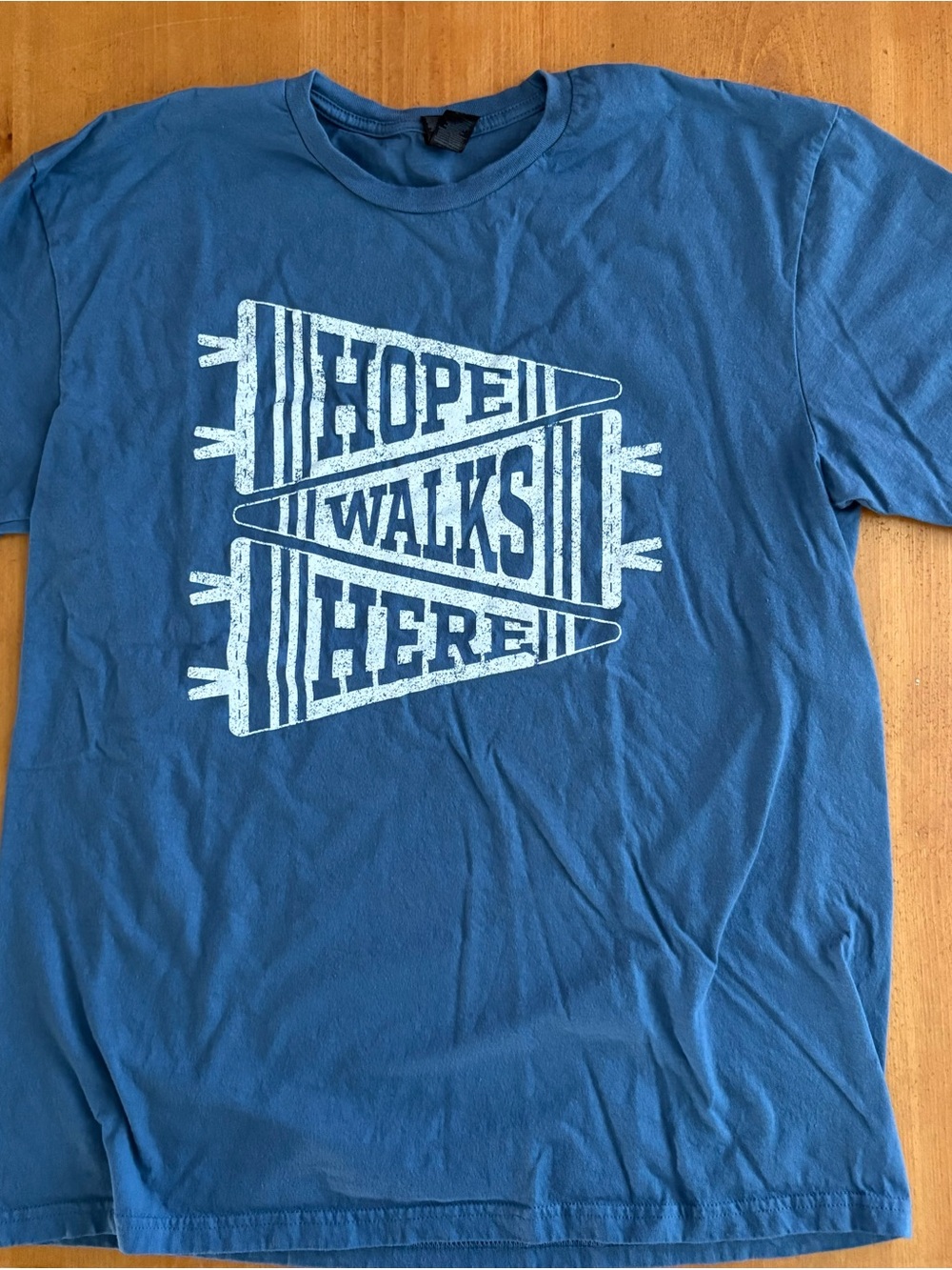 Gildan AFSP Hope Walks Here, SS Crew Neck Tee, Blue, Large, Unisex, NWOT